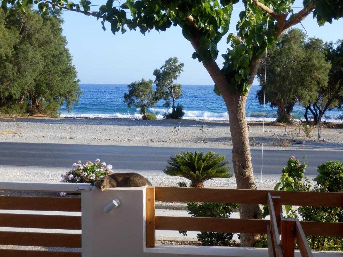 Votsalo Villa Ierápetra Екстериор снимка